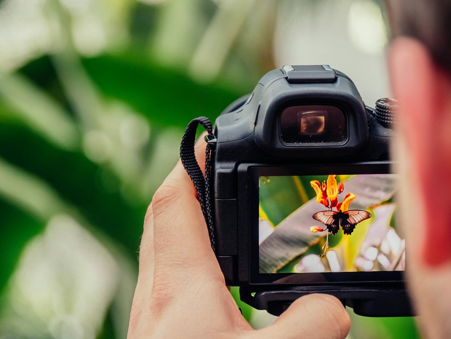 Storytelling Through the Lens: Our Approach